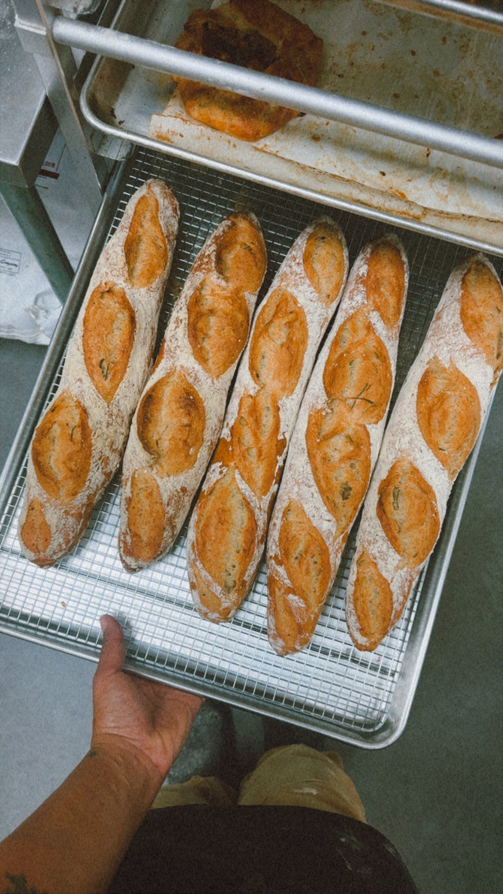 Lyons Fare Bread Club-Flavored Loaves