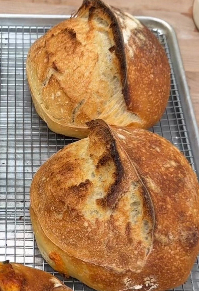 Lyons Fare Bread Club-Flavored Loaves