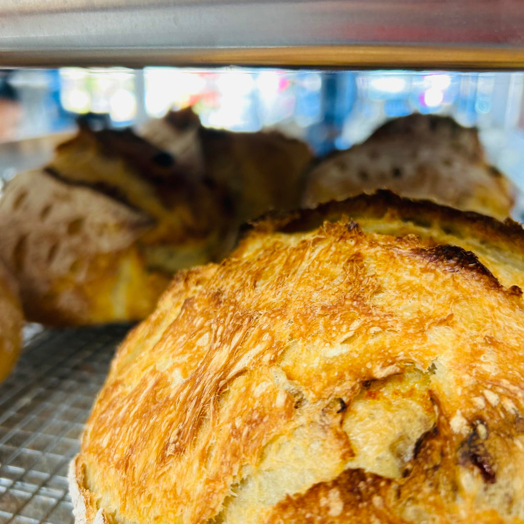 Lyons Fare Bread Club-Flavored Loaves